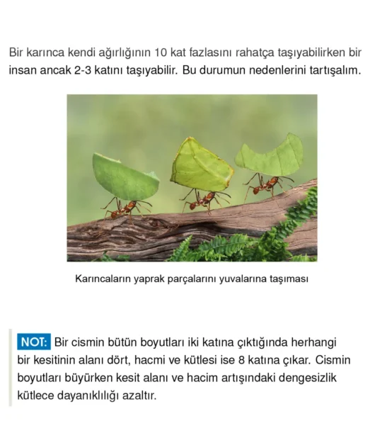 Sorulardan-örnekler_01 Sorulardan-örnekler_01